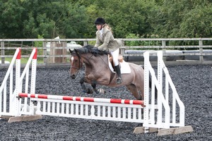 Class 5 - Fences not above 2'6